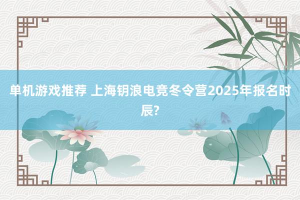 单机游戏推荐 上海钥浪电竞冬令营2025年报名时辰?