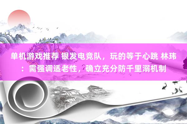 单机游戏推荐 银发电竞队，玩的等于心跳 林玮：需强调适老性，确立充分防千里溺机制