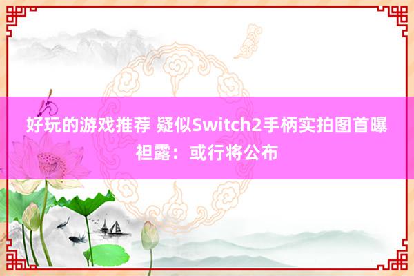 好玩的游戏推荐 疑似Switch2手柄实拍图首曝袒露：或行将公布